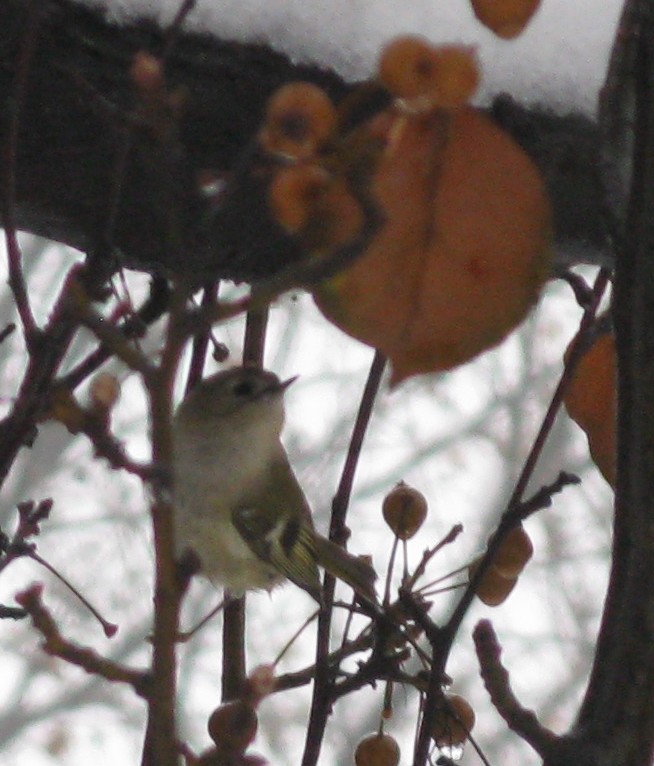 Piccolo da ID