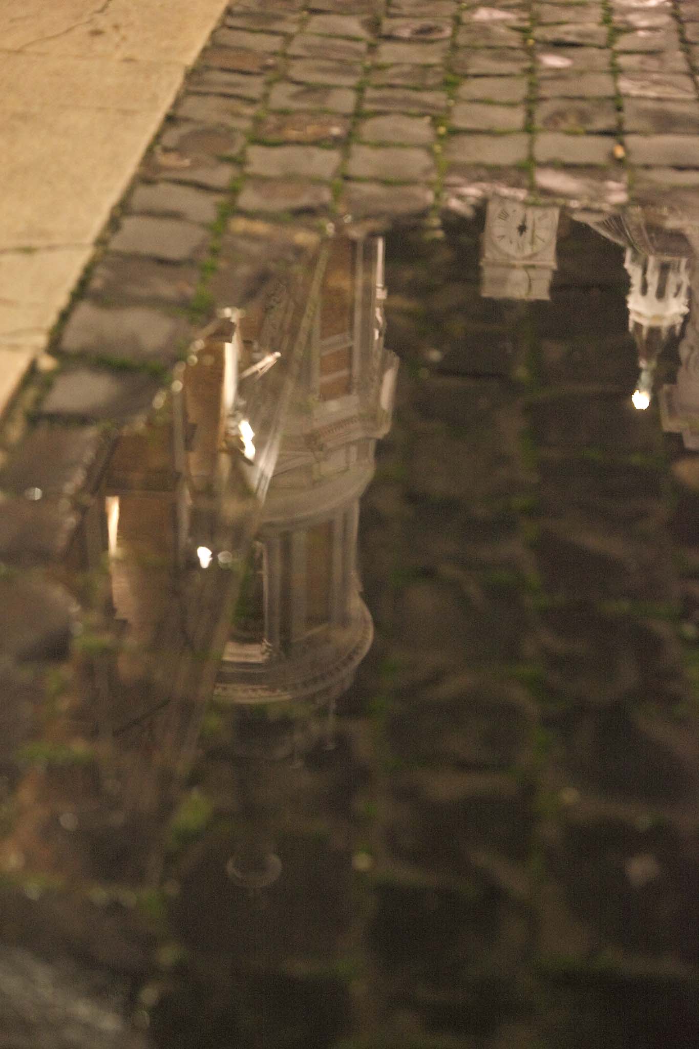 Un mondo riflesso...