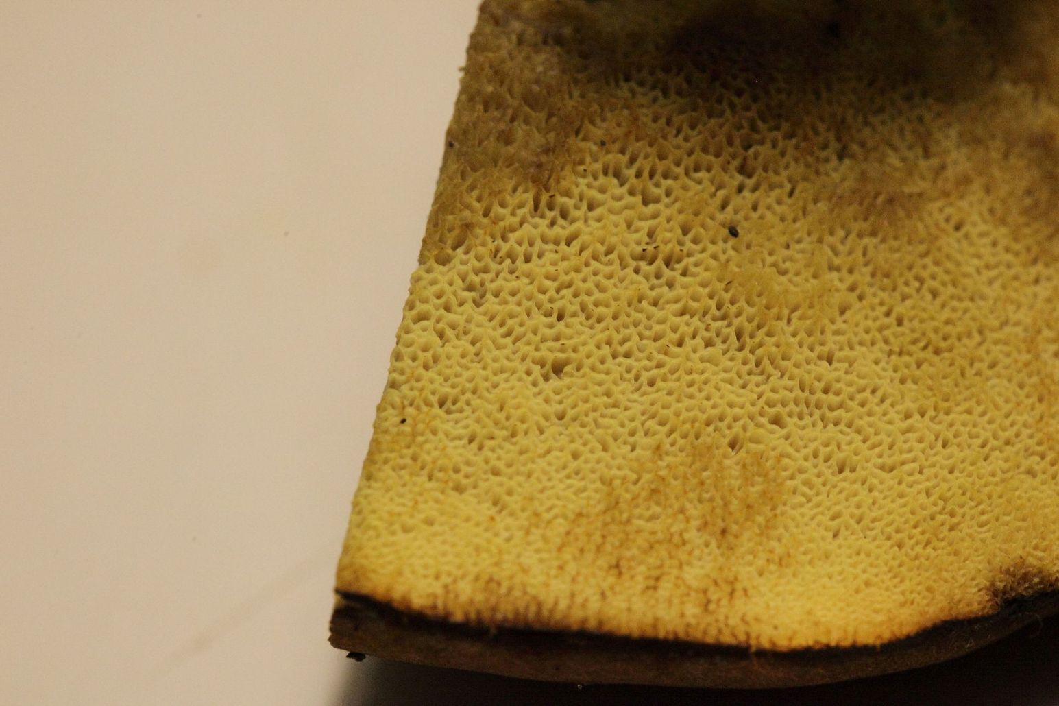 Boleto da determinare