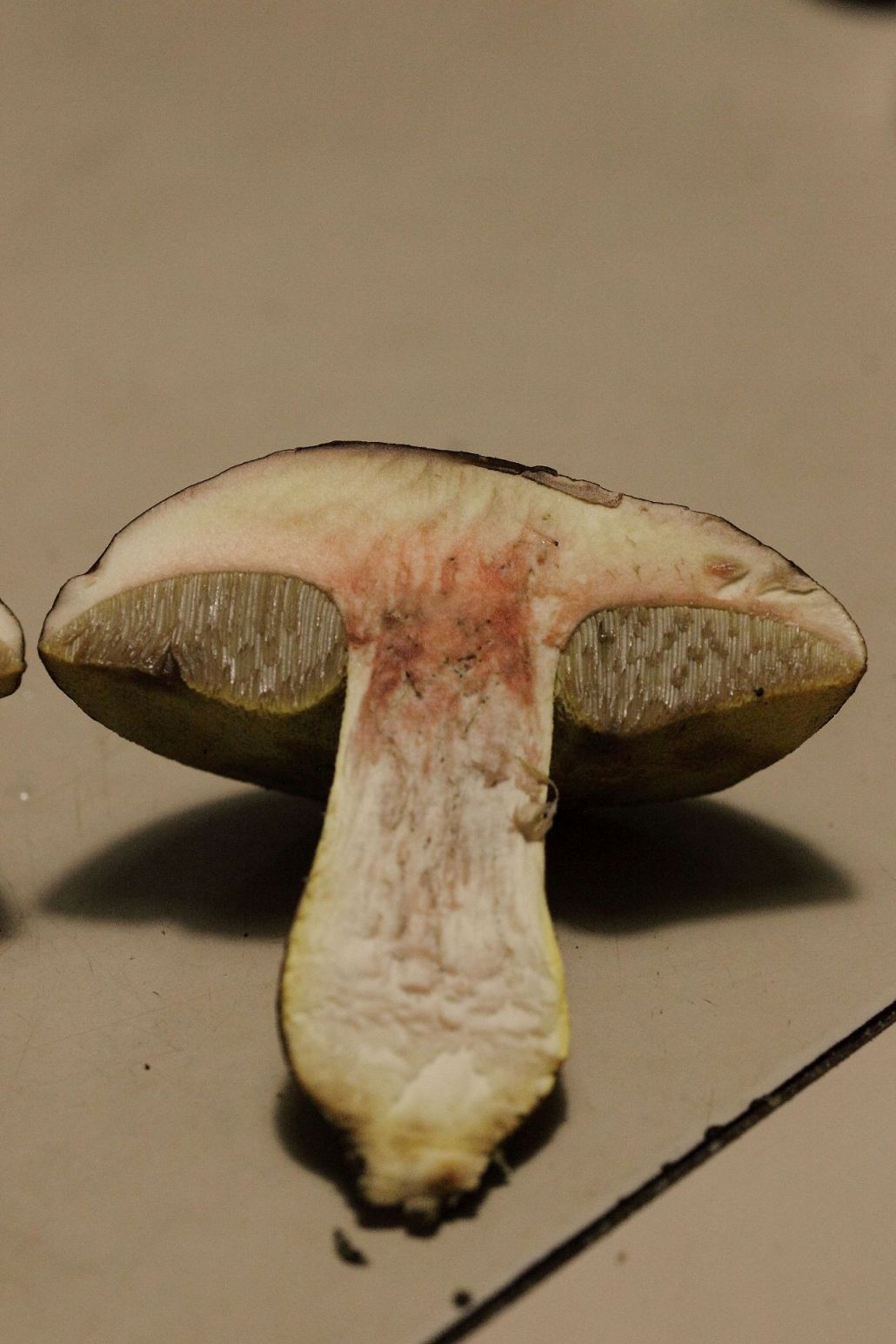 Boleto da determinare