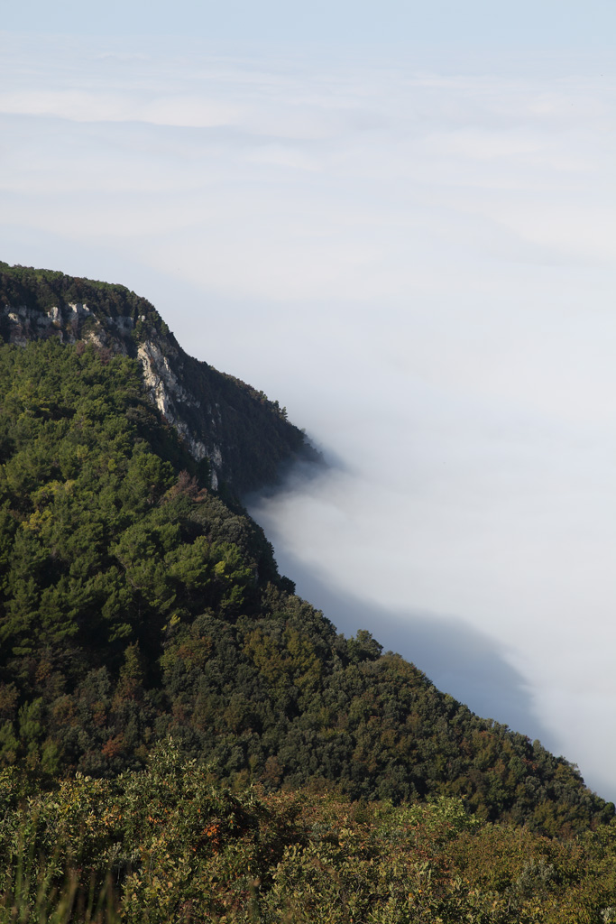 fiumi di nebbia