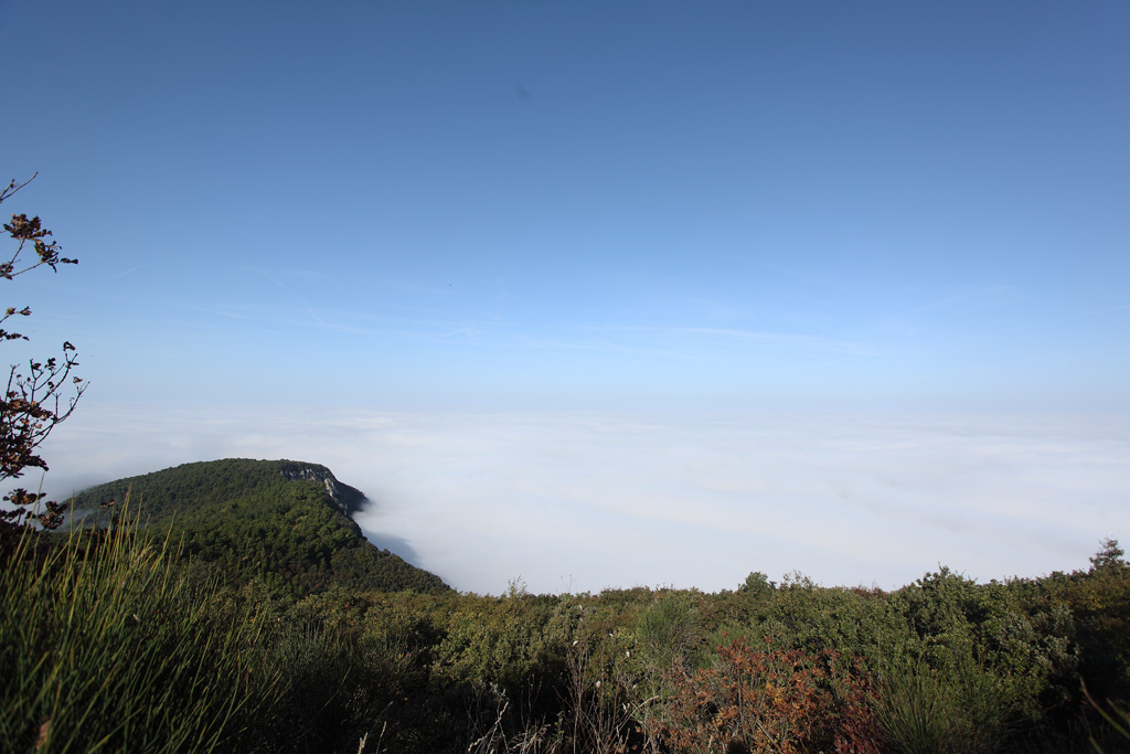 fiumi di nebbia