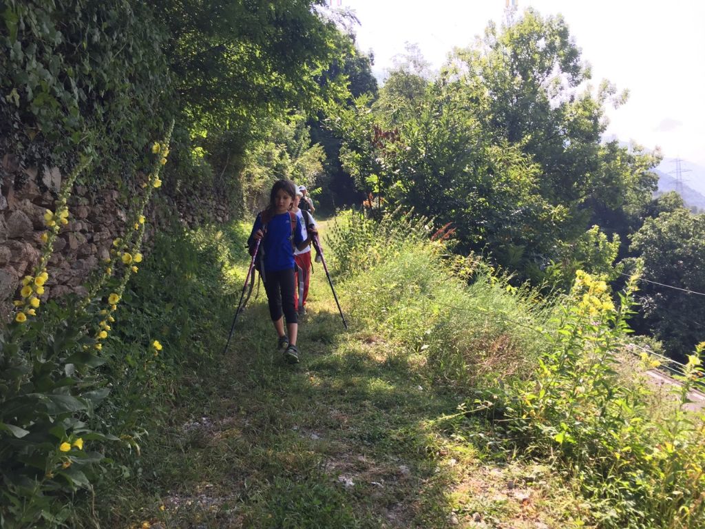 Punta del Guat -Baitone-Tonolini-Premassone ps. -Gnutti- Malga Macesso-Fabrezza