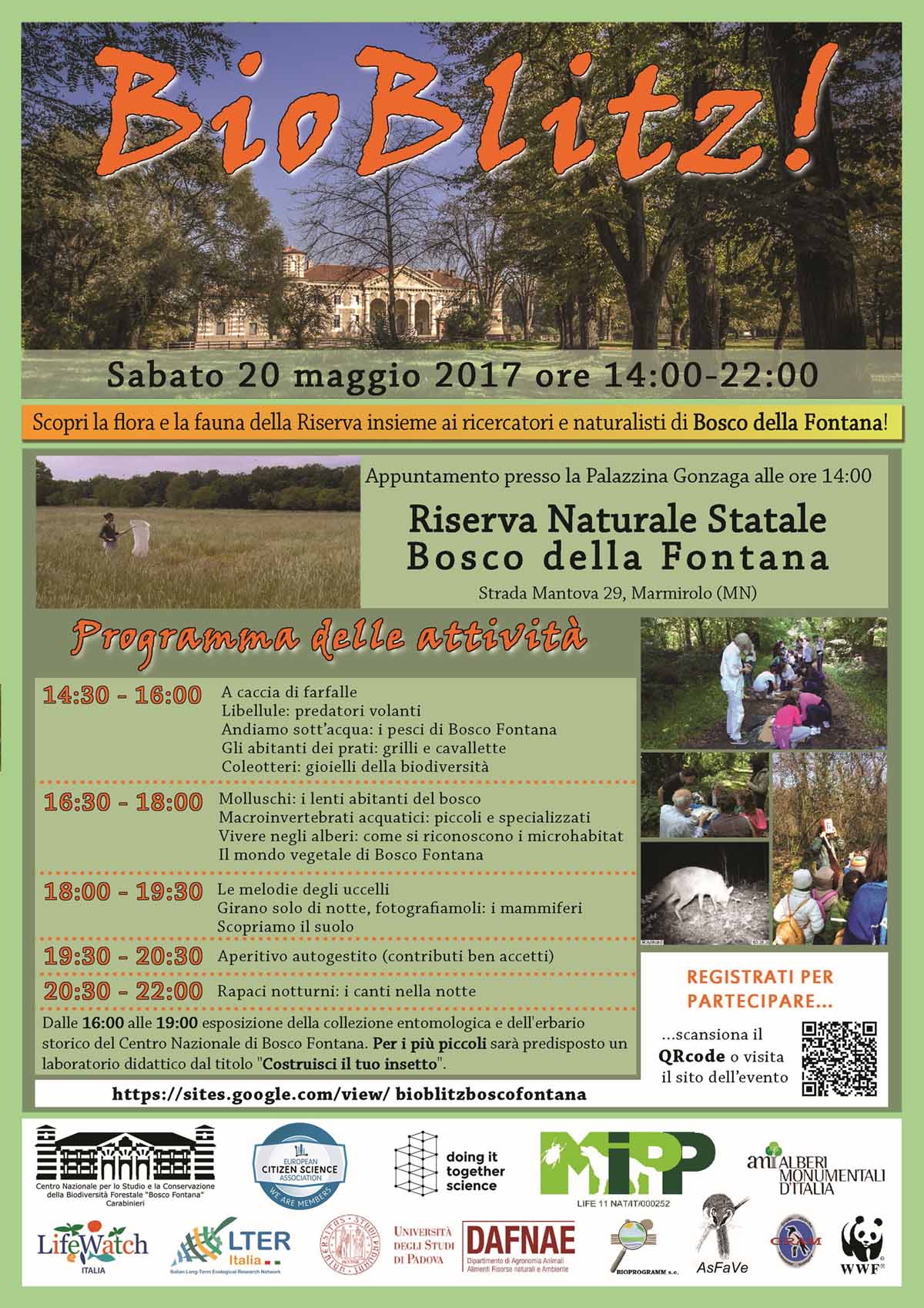 Bioblitz al Bosco Fontana (Mantova) il 20 Maggio 2017
