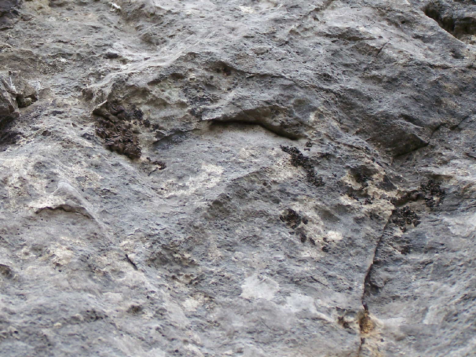 intrusa - falesia poligenica
