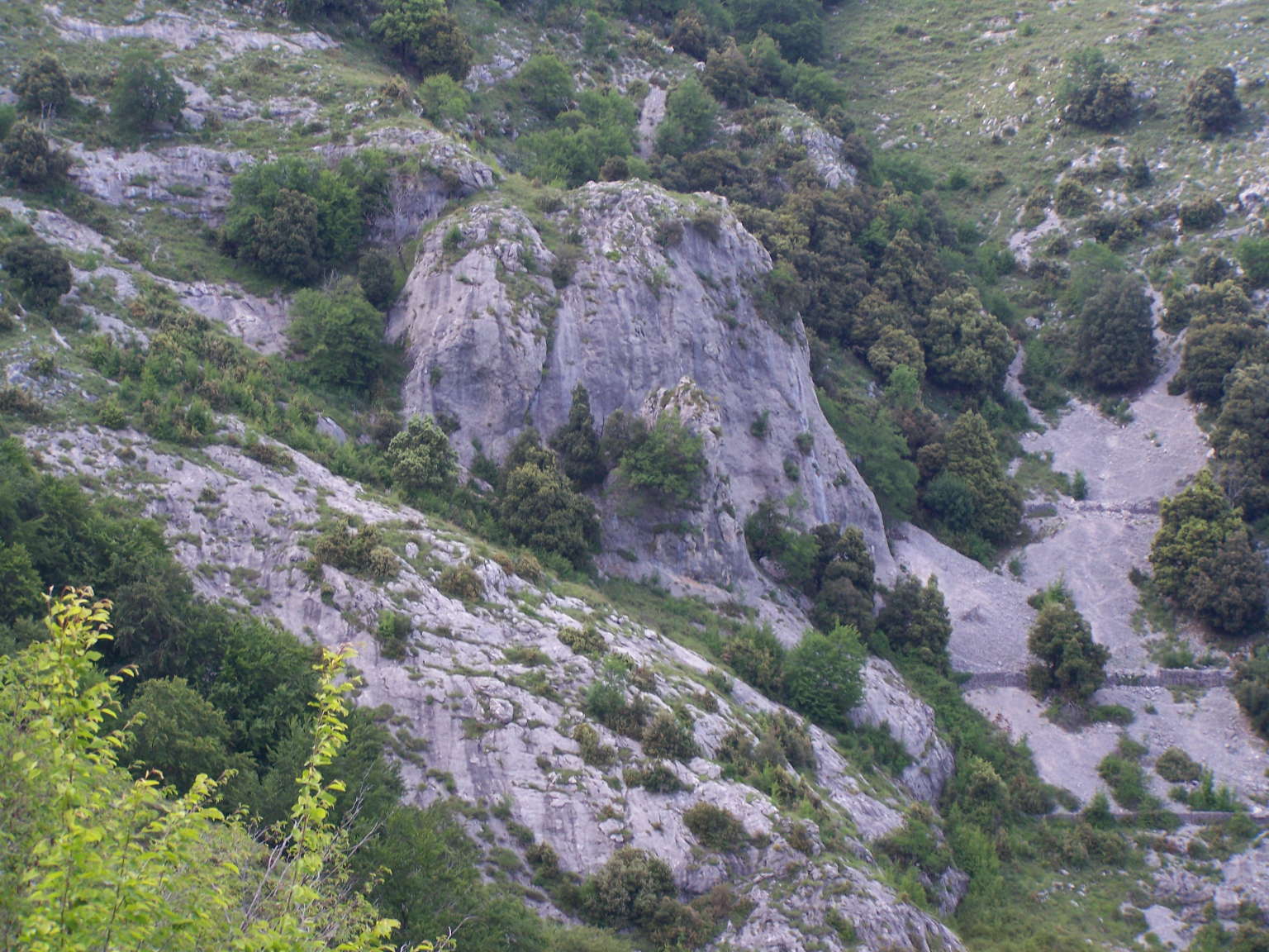 intrusa - falesia poligenica