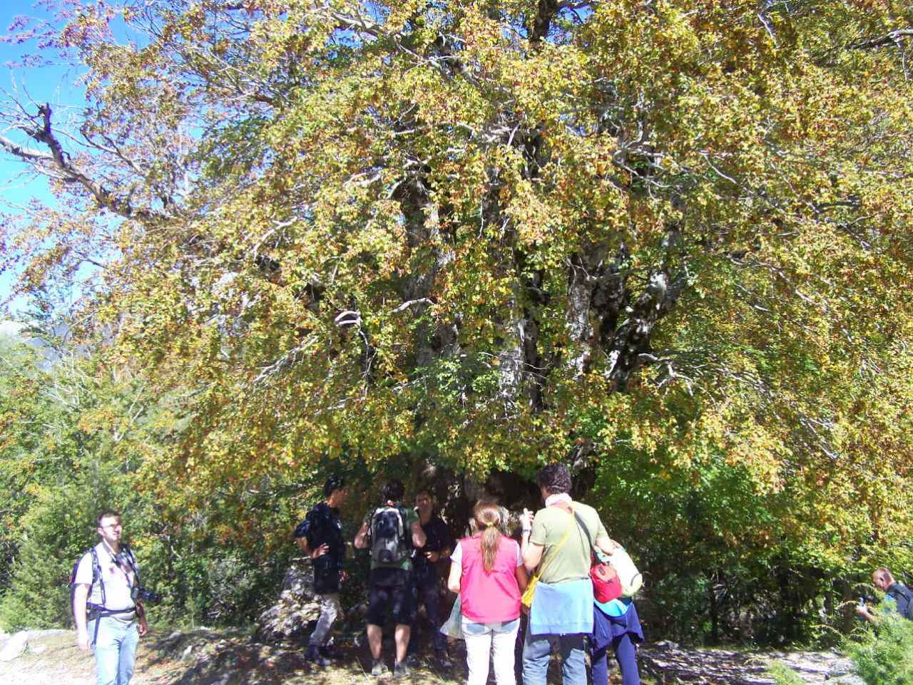 Natura Mediterraneo festeggia i 10 anni!! Raduno NM
