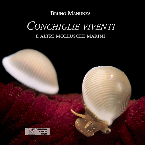 Conchiglie viventi, novit libraria