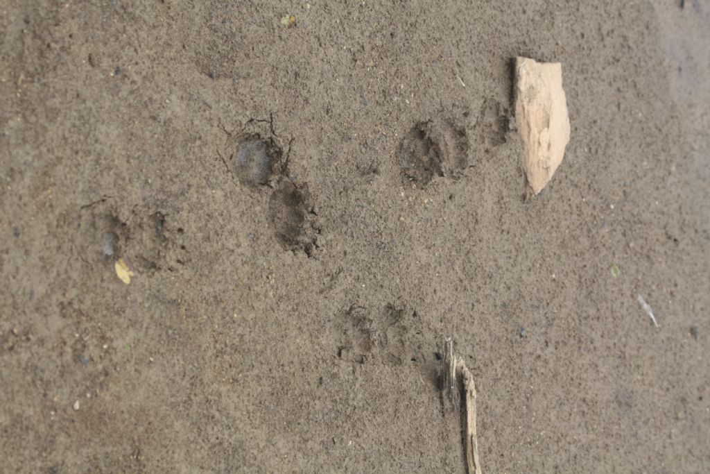 Da identificare della Grecia No 2