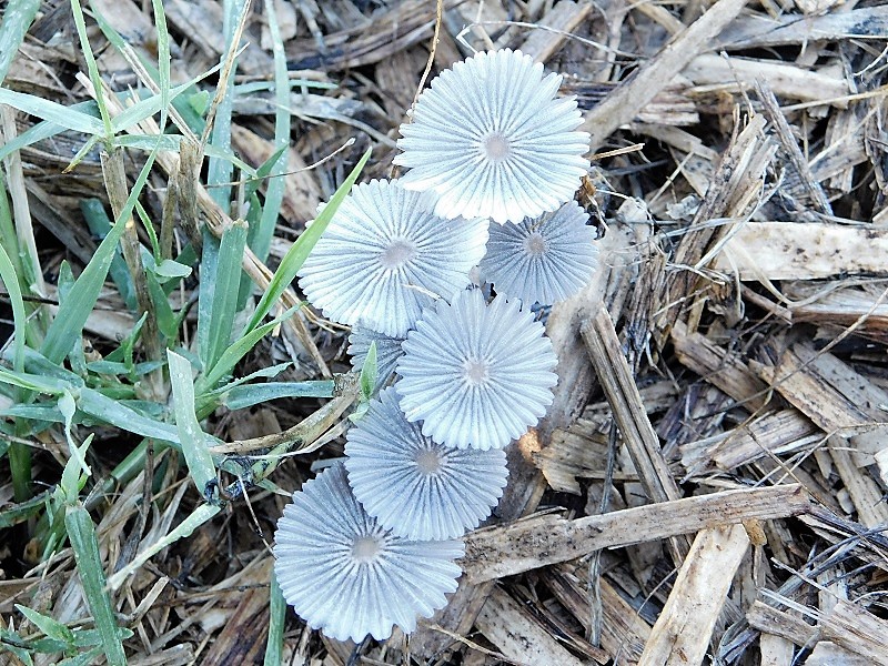 3)Fotogr.il 27.09.2019