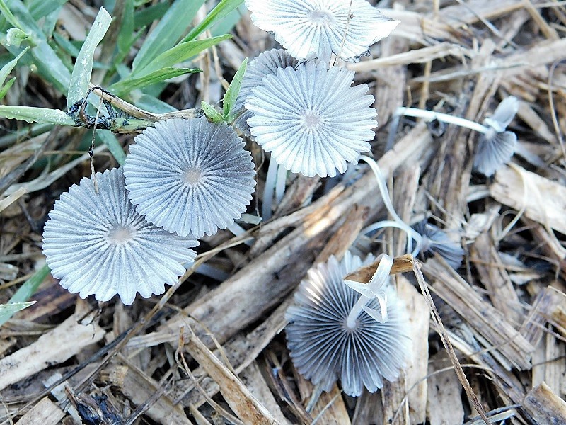 3)Fotogr.il 27.09.2019
