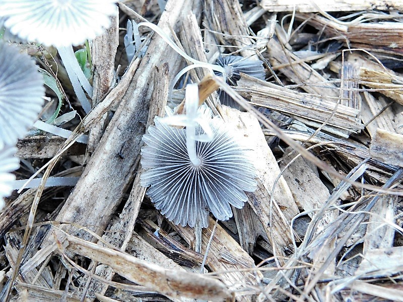 3)Fotogr.il 27.09.2019
