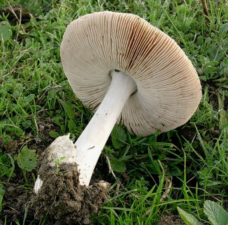 183 Dicembre vecchio ritrovamento