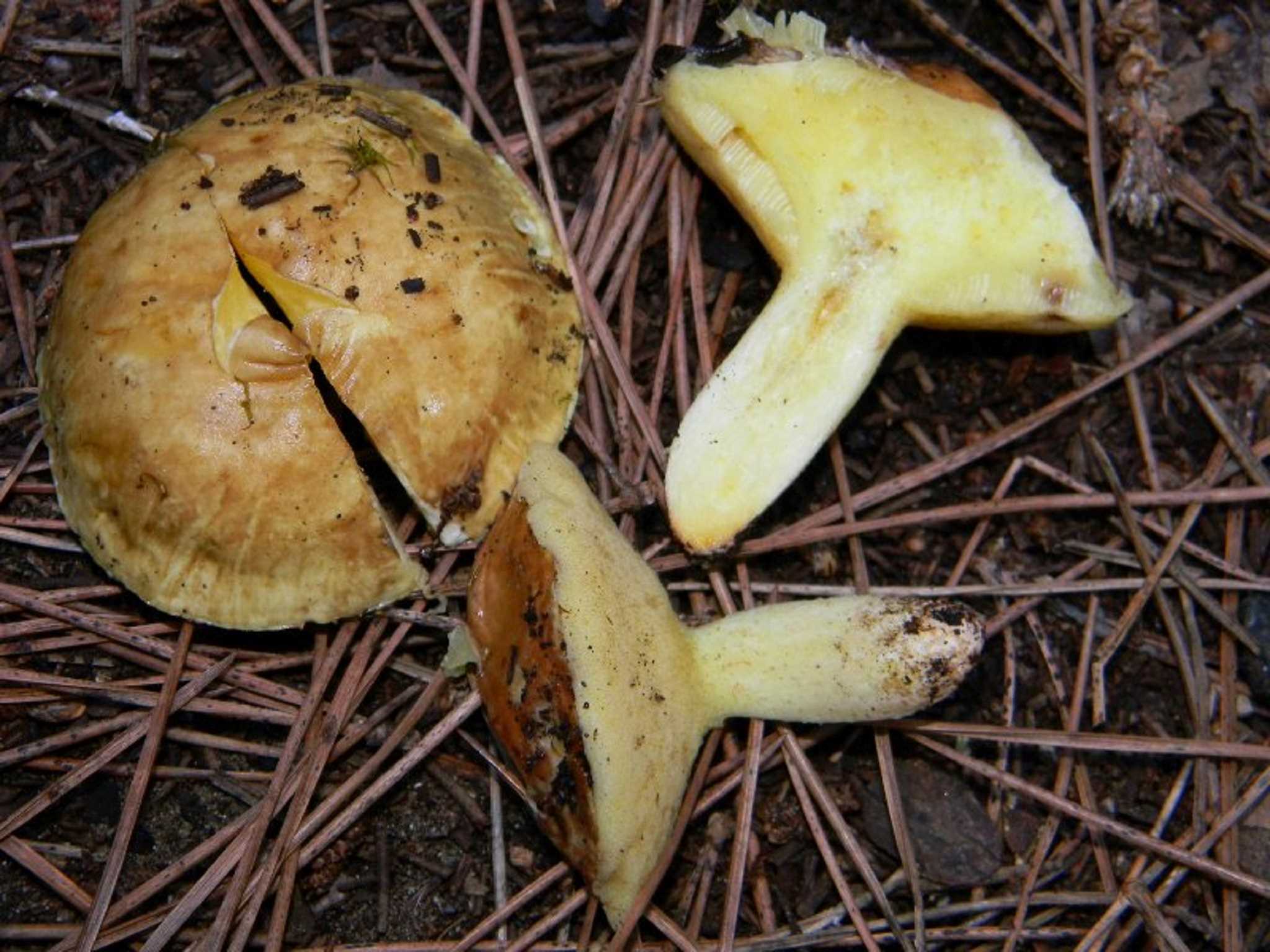 1822 Novembre vecchio ritrovamento