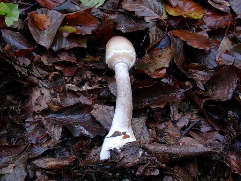 2105 Ottobre vecchio ritrovamento