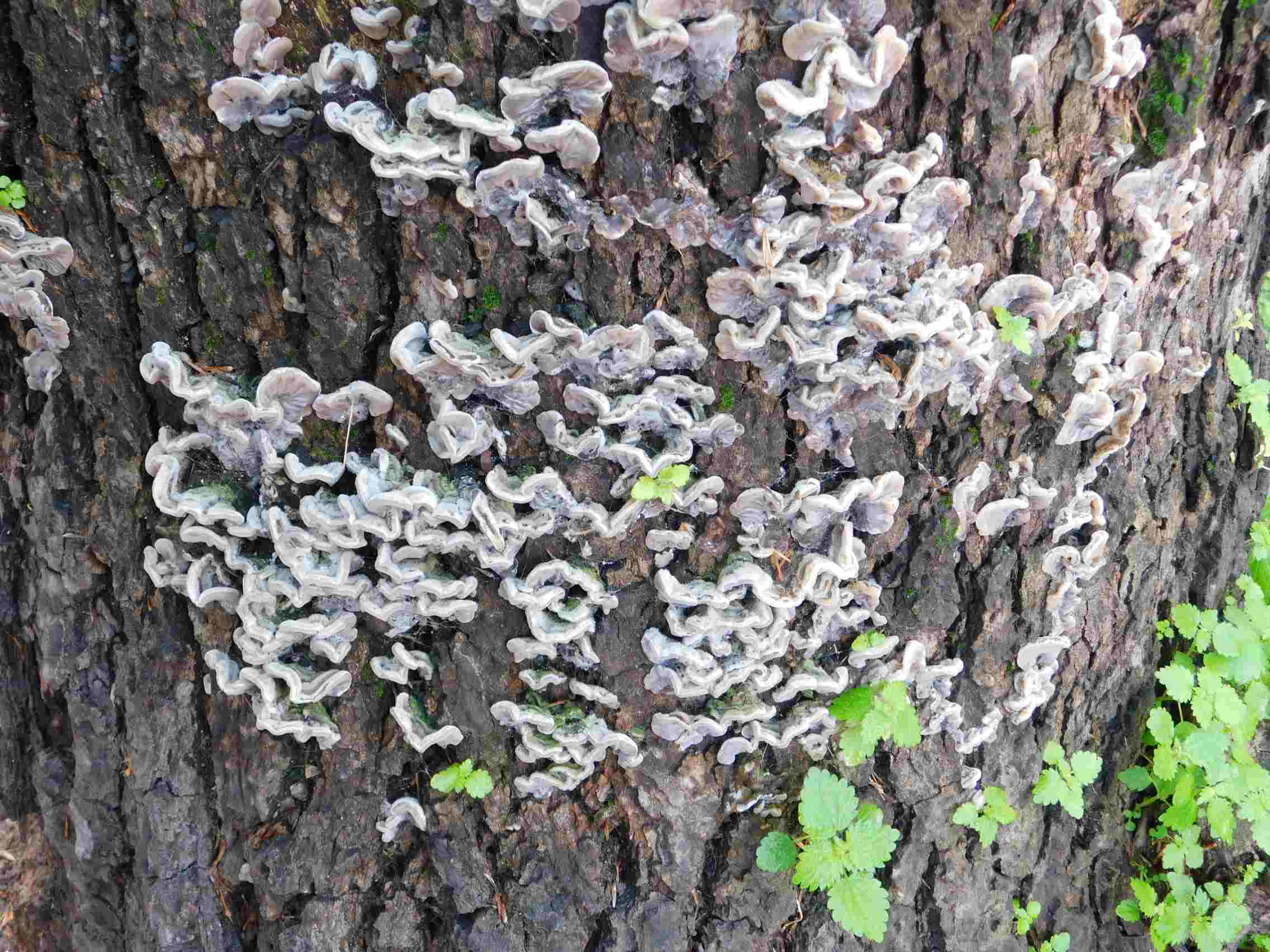 Fotografato il 9.02.2026