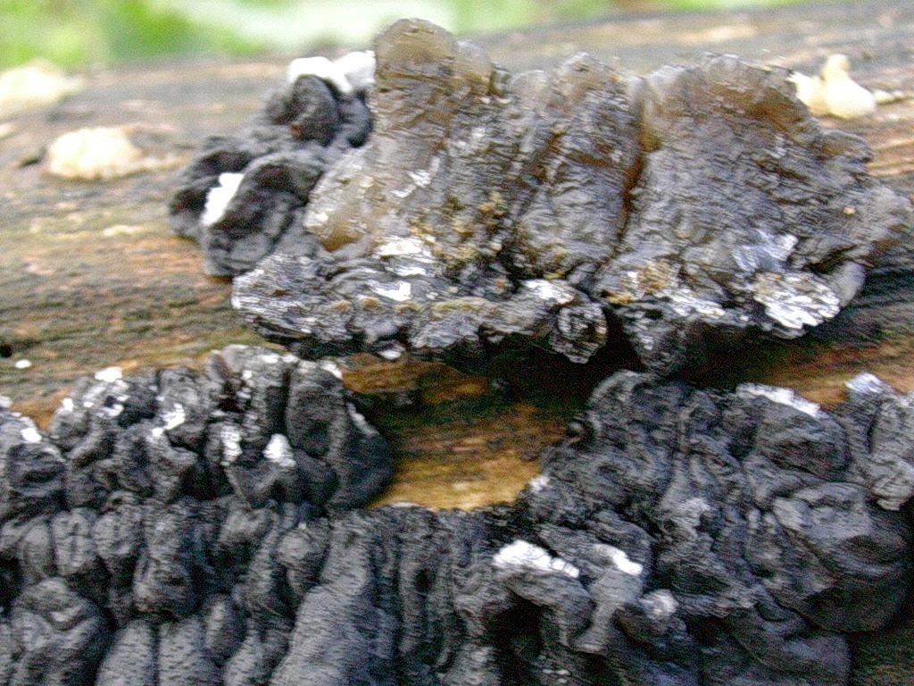 1957 Aprile vecchio ritrovamento