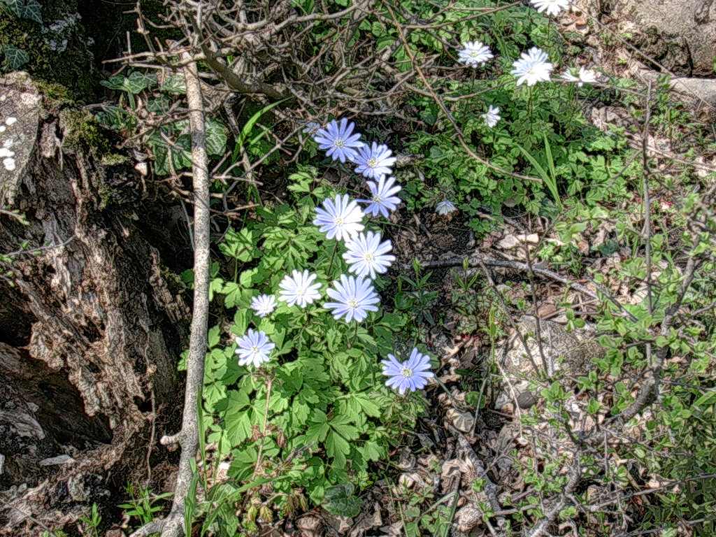 1 Fotografato il 5.Aprile