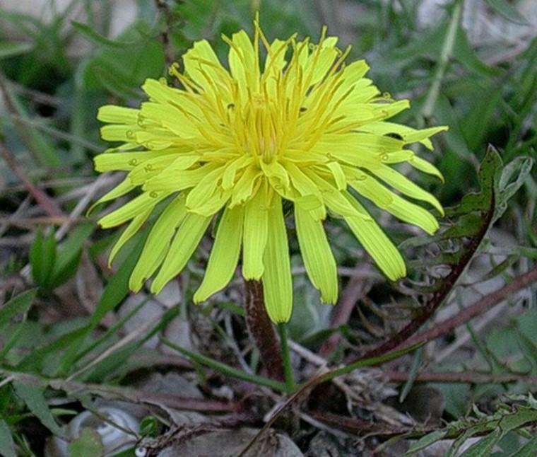 2 Aprile vecchio ritrovamento