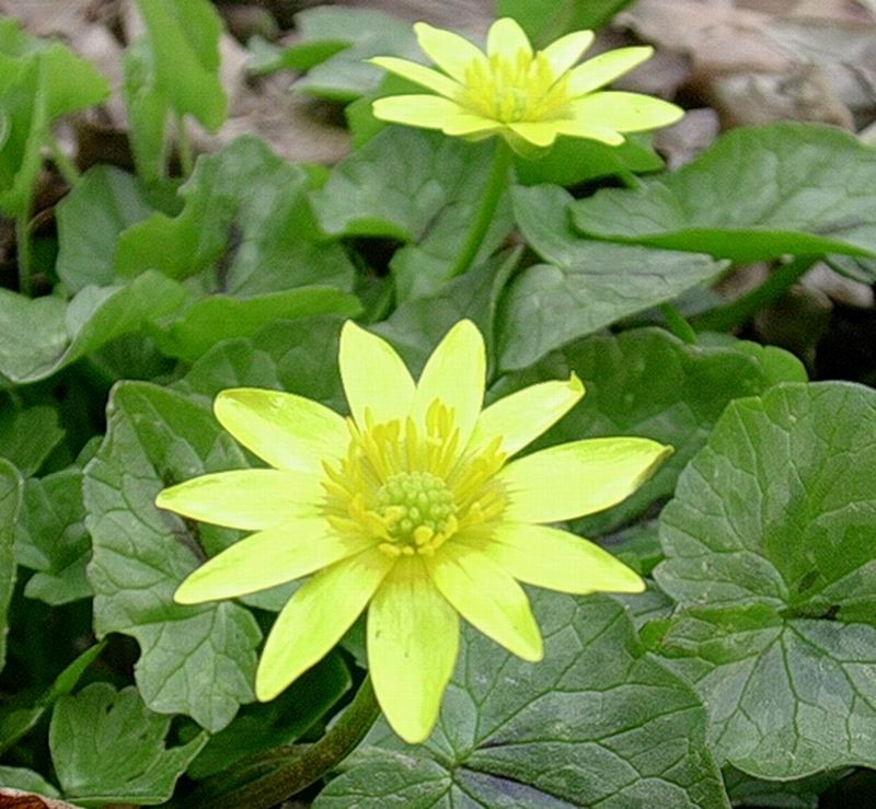 3 Aprile vecchio ritrovamento