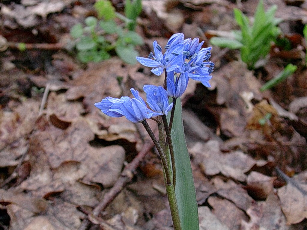 10 Aprile vecchio ritrovamento