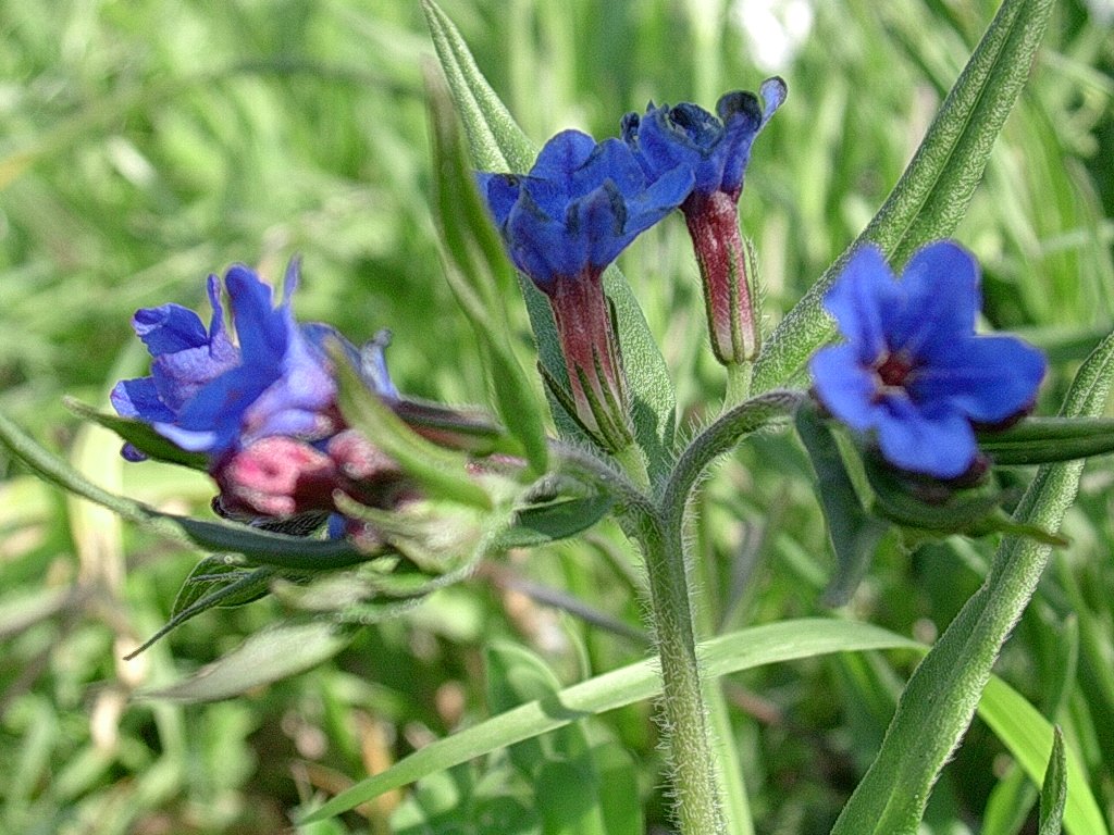 15 Aprile vecchio ritrovamento
