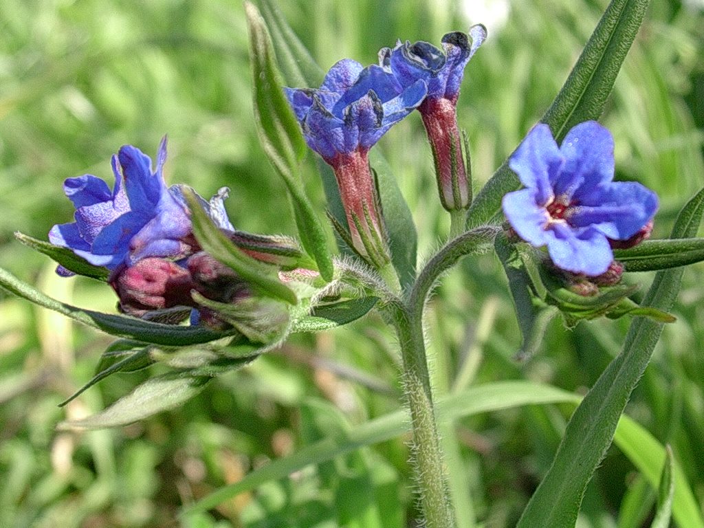 15 Aprile vecchio ritrovamento