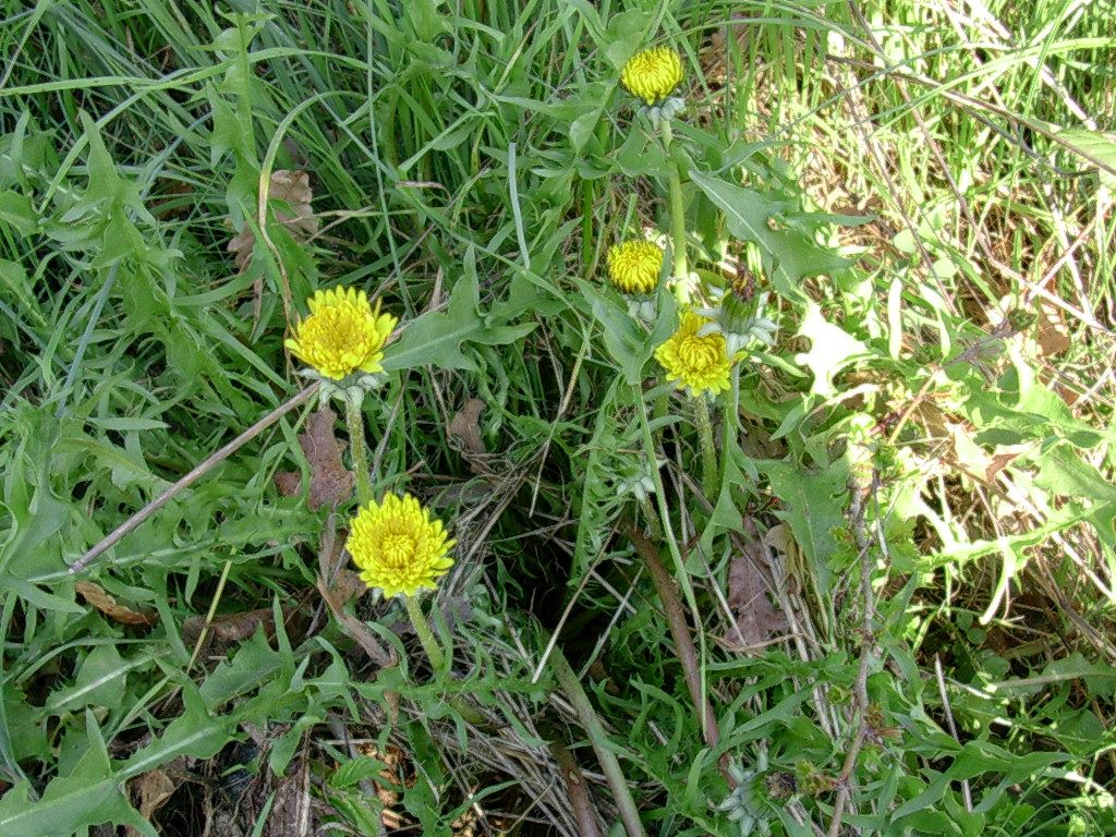 16 Aprile vecchio ritrovamento