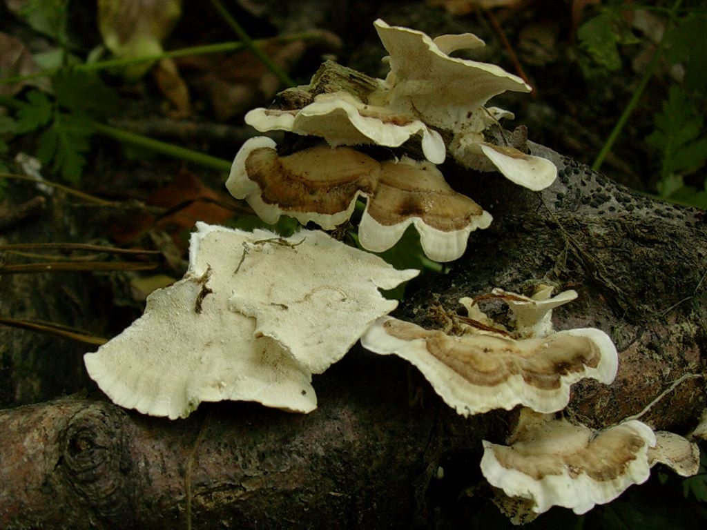 2023  Giugno vecchio ritrovamento