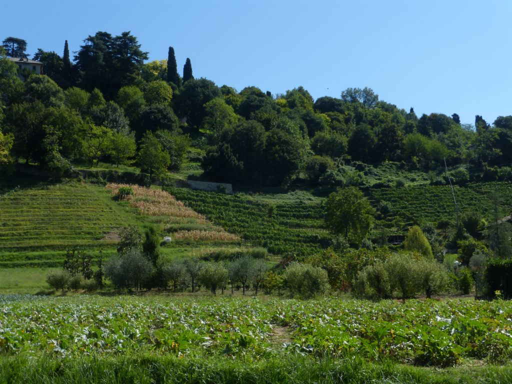 una passeggiata in Val d''Astino