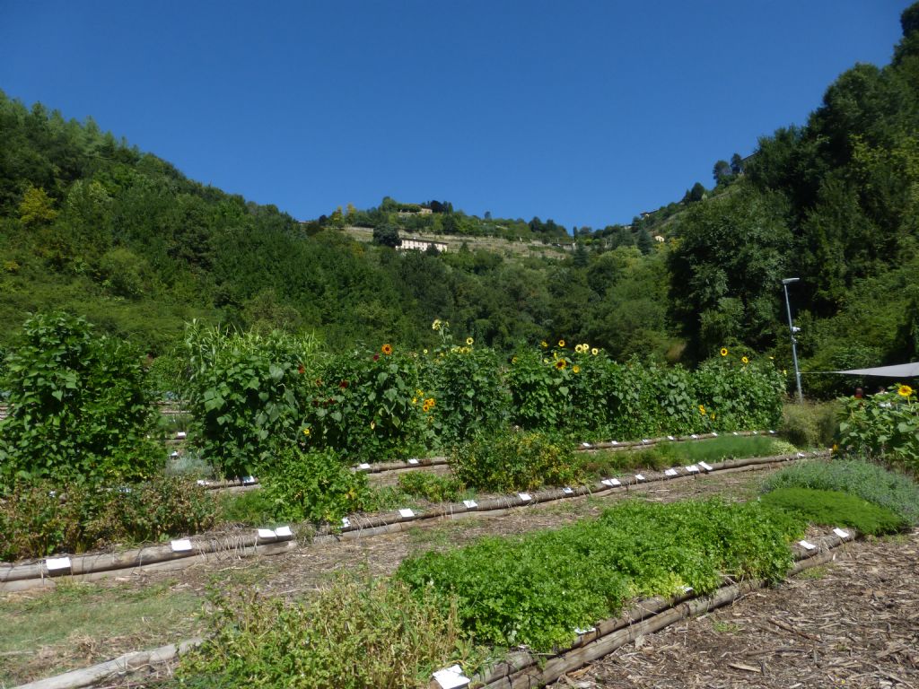 una passeggiata in Val d''Astino