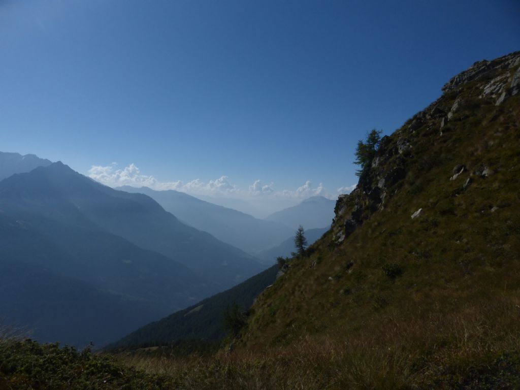 Altra pianta sul monte Pagano (BS) - Minuartia cfr verna