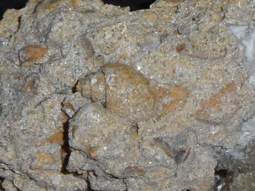 ancora mineralizzazione...