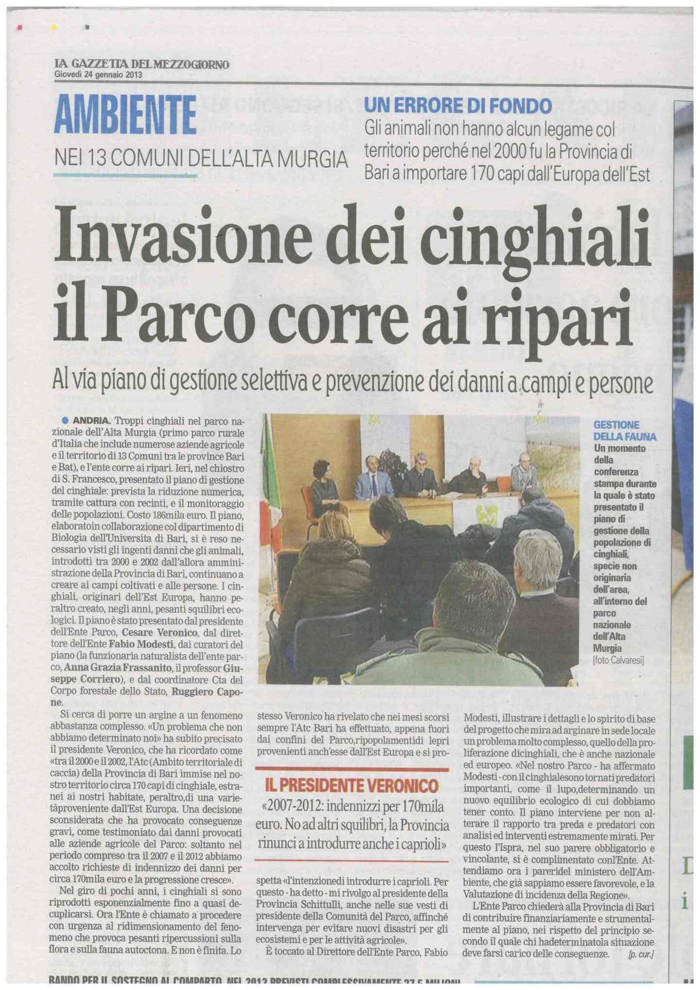 Cinghiali cosa fare???