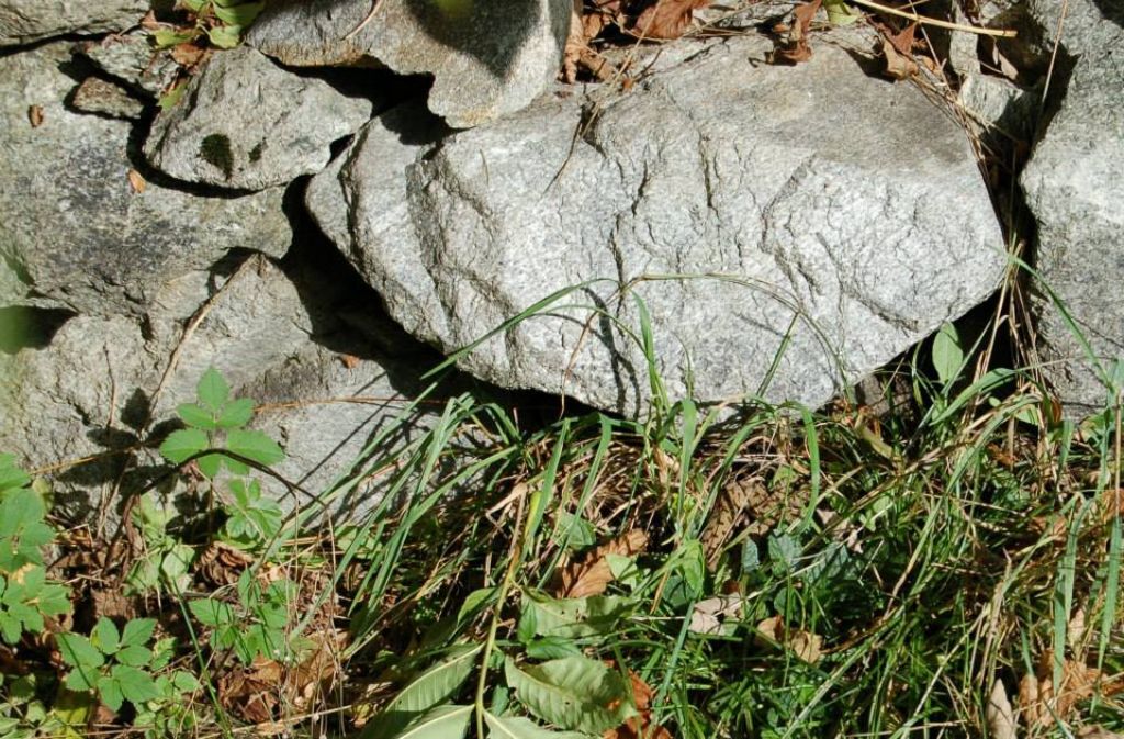 Che siano le ultime della stagione?