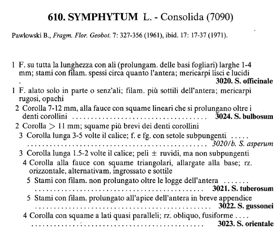 Symphytum tuberosum?  No! Symphytum officinale L.