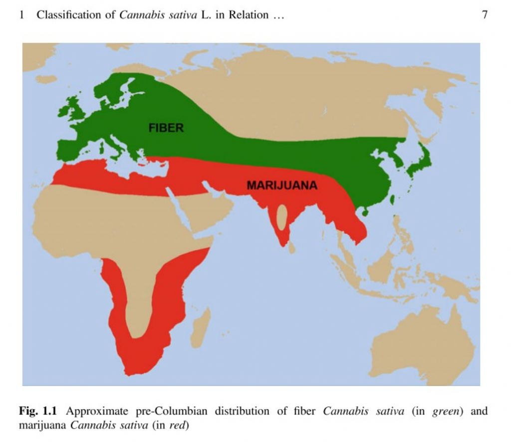 Canapa ?  S, Cv di Cannabis sativa selezionata per industria tessile