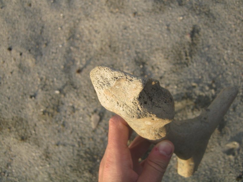 frammento palco di....