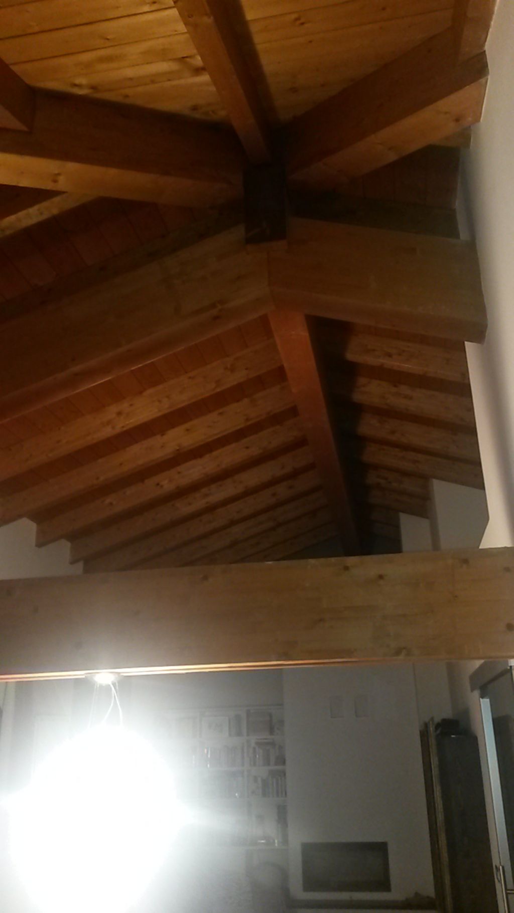 Larve sul soffitto:......Dermestidae ???