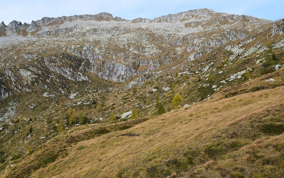 Monte Bruffione (2.665 m) dalla Valle Aperta di Condino