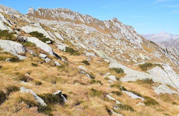 Monte Bruffione (2.665 m) dalla Valle Aperta di Condino