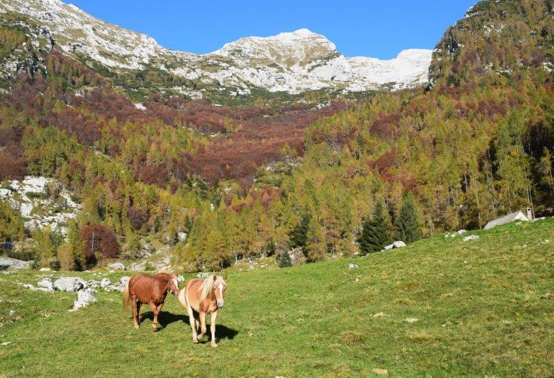 Crep Nudo (2.207 m) da Forcella Venal e Capel Grande