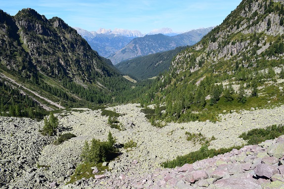 Monte Cauriol (2.494 m) dalla Val Sadole di Ziano