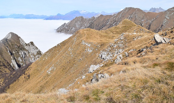 Cima Somale (2.276 m) da Campolaro in Valle Camonica