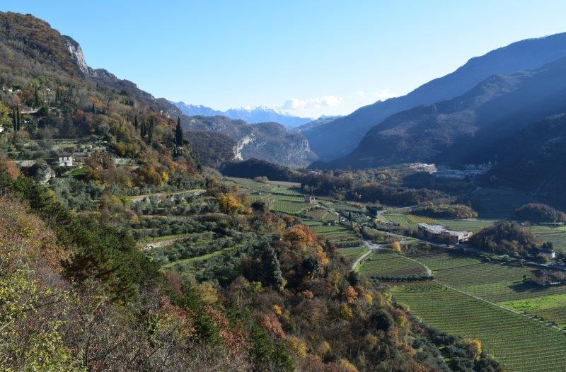 Le trincee del Monte Corno di Nago