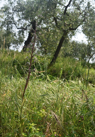 Le nostre stazioni pi belle