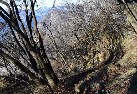 Traversata della cresta dal Monte Pura a Punta Tisdel (1.334 m) - Gruppo del Guglielmo