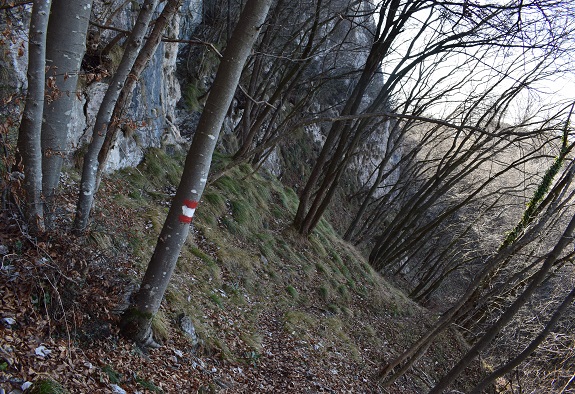 Traversata della cresta dal Monte Pura a Punta Tisdel (1.334 m) - Gruppo del Guglielmo