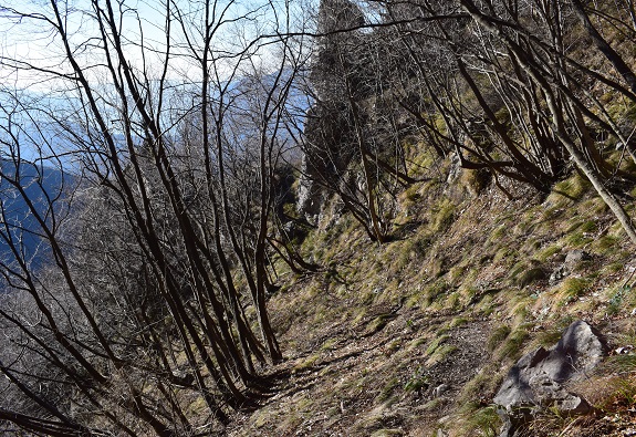 Traversata della cresta dal Monte Pura a Punta Tisdel (1.334 m) - Gruppo del Guglielmo