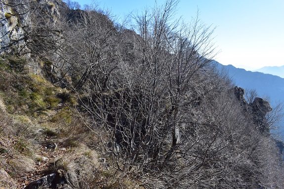 Traversata della cresta dal Monte Pura a Punta Tisdel (1.334 m) - Gruppo del Guglielmo